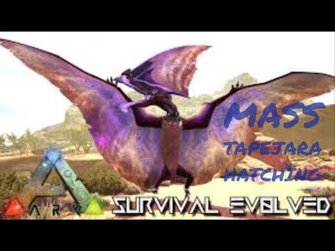 ARK: SURVIVAL EVOLVED - HATCHING TAPEJARA EGGS!! XBOX OFFICIAL PVP