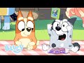 Pass The Parcel Full Episode Series 3 Bluey