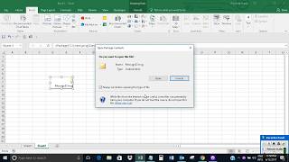 Insert or embed an Outlook mail in Excel