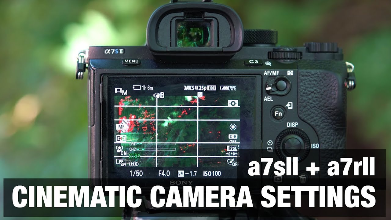 Sony a7S II best camera settings
