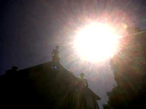 Subtitle - Smart Wild