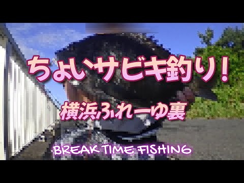 【東京湾】サビキ釣り！＋αで大物も狙う！ #アジ釣り#チヌ #おかっぱり #入れ喰い