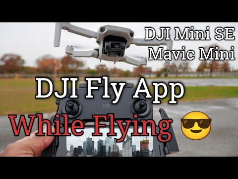 DJI Mini SE & Mavic Mini App Functions, Camera & Controller for Beginners