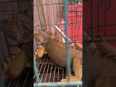 A day in fortkochi beach