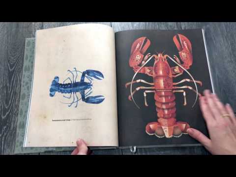 Миниатюра изображения товара Книга МИФ Животные Севера (Браун Д.)