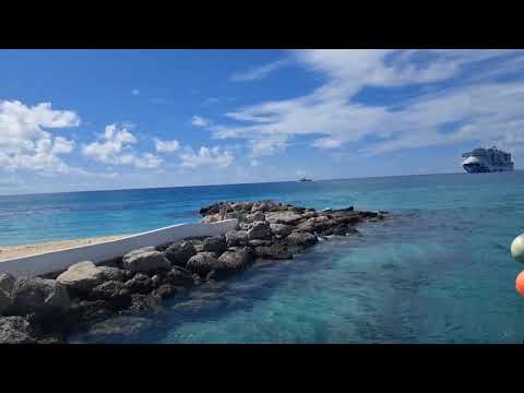 Invicta Mens Pro Diver Quartz Watch, Two Tone, 30021 video review thumbnail