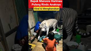 Download lagu Manusia Harimau Rindu Keluarga mp3