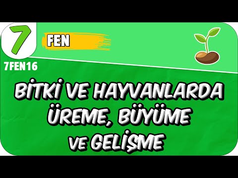 Bitki ve Hayvanlarda Üreme, Büyüme ve Gelişme 📗 7. Sınıf Fen #2025