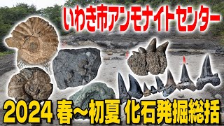 【いわき市】春～初夏の化石発掘総括【アンモナイトセンター】