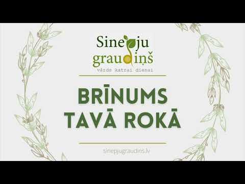 Sinepju Graudiņš ⧸⧸ Brīnums Tavā Rokā #115
