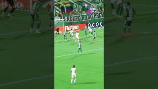 VOLANTE ARTILHEIRO DO FOGÃO! EDENÍLSON METEU DOIS DE CENTROAVANTE CONTRA A CHAPE #shorts
