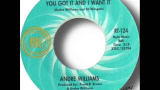Andre Williams   You Got It And I Want It