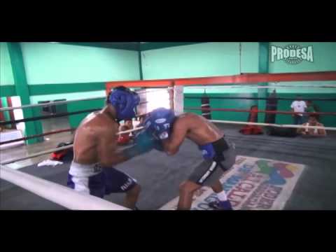 Guanteo Roman Gonzalez vs Jerson Ortiz - Videos Prodesa
