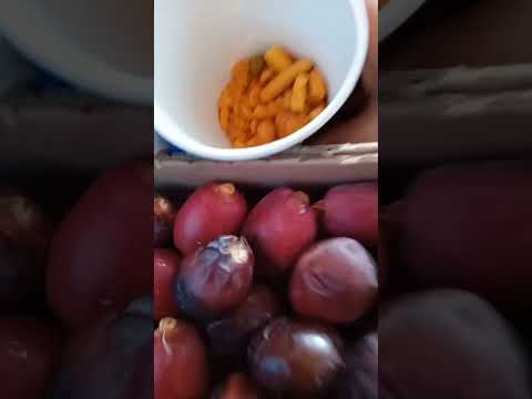 buy afoof#dates#food shorts#viral