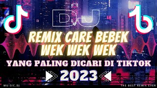 Download lagu DJ REMIX CARE BEBEK WEK WEK WEK VIRAL TIKTOK JEDUG JEDUG FULL BASS TERBARU NI BOSS 2023 mp3