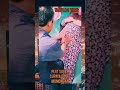 Pijat Tradisional Biar Dapat Momongan Viral Pijattraditional