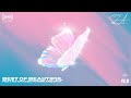 21 DJ Khaled Future SZA Mya Best Of Beautiful A JAYBeatz Mashup HVLM