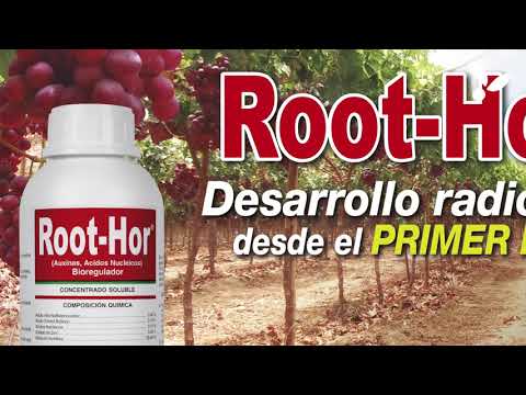 Siagro Sur 2018 - Desafío del Grupo Andina para los proximos 5 años.