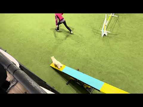 Born to Run - Karinka’s Winnie’s Ti - 13. 12. 2025