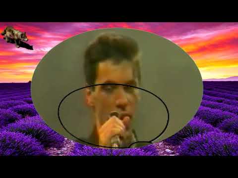 BOLERO-SVIRI HARMONIKO TUGO, TUGO (TEKST)