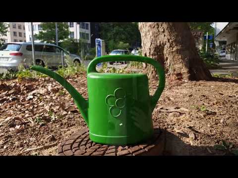 Die Gießkanne, besser, als ihr Ruf. Für ein Konjunkturpaket für alle