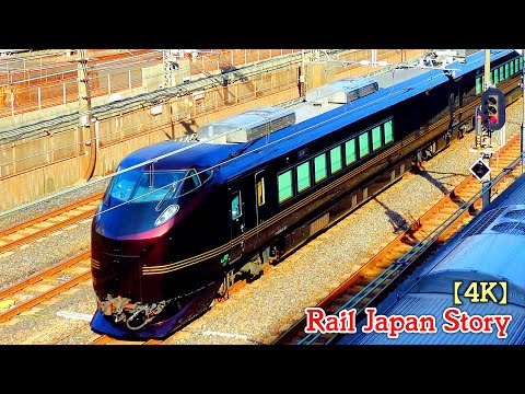 E655 Series NAGOMI, High Grade Train for Imperial Family, passing Nippori Station | Train Japan