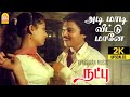 Adi Maadi Veettu 2K Video Song அடி மாடி வீட்டு மானே Natpu Karthik 