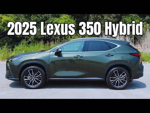Lexus NX 350 Hybrid (2025) – Dieser oder der Benzin-NX?
