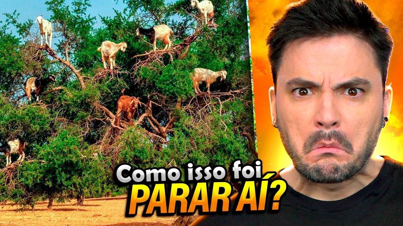 COMO ISSO FOI PARAR AÍ???
