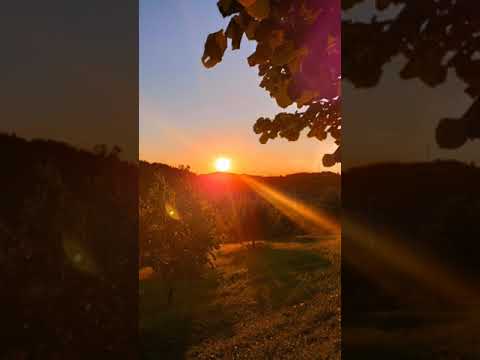 Ti si divan o naš Spase