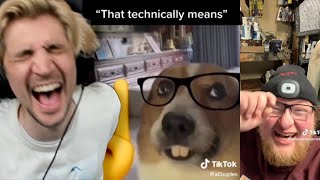 xQc reacts to funny TikTok videos for 5 Minutes