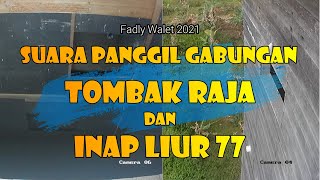 Download lagu Suara Panggil Gabungan Tombak Raja dan Inap liur 77 mp3