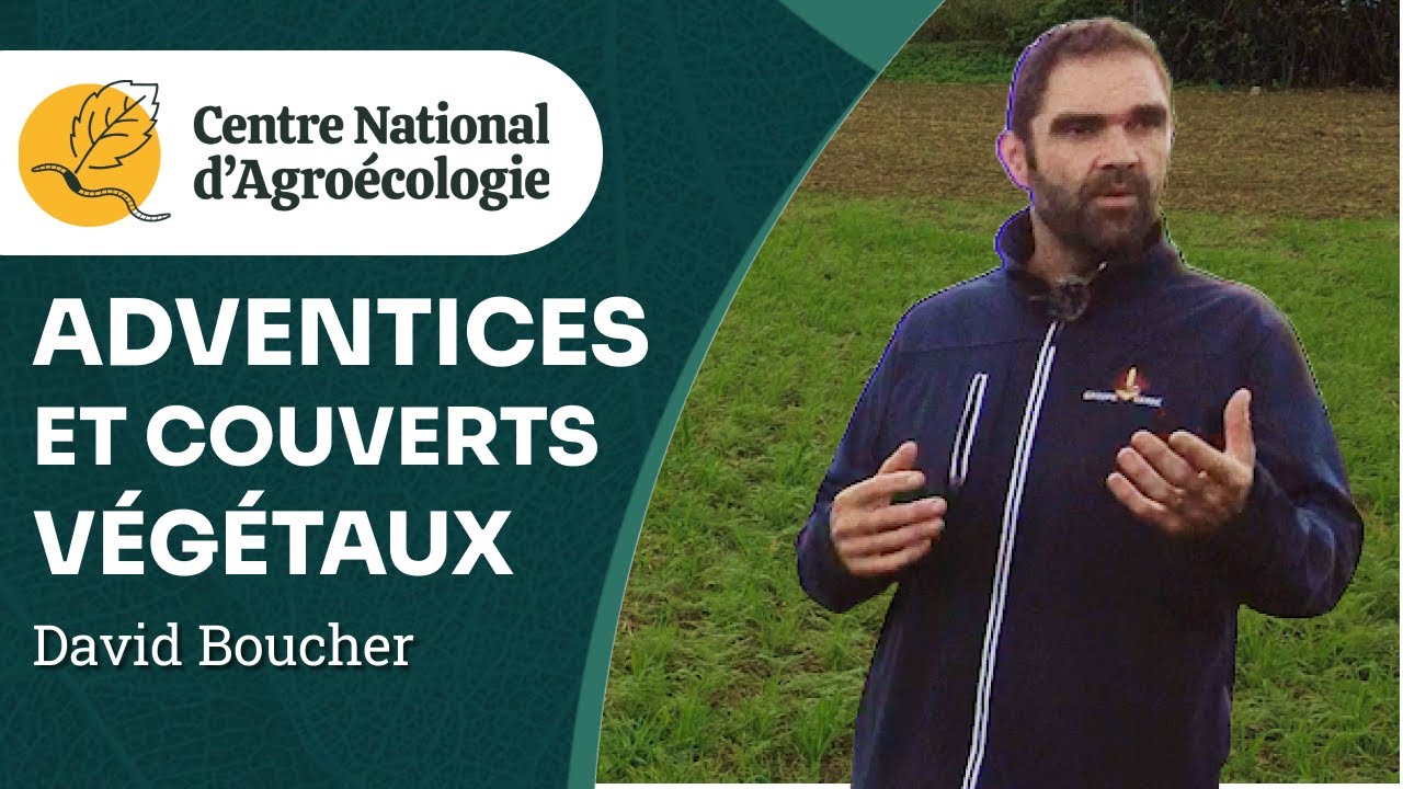 Couverts végétaux pour maitriser les adventices : David Boucher et Jérome Pernel - CNA
