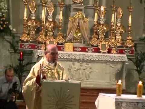 Cardinale Comastri a Rivignano 5.flv