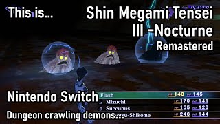 This is Shin Menami Tensei III Remastered for the Nintendo Switch