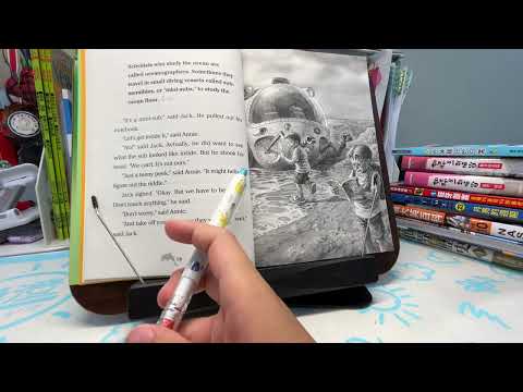 816 William 樹屋海豚W4（英1）