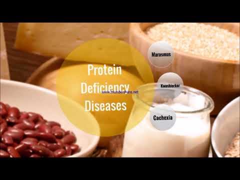 UiTM N9 BCM202 : TEST FOR PROTEIN