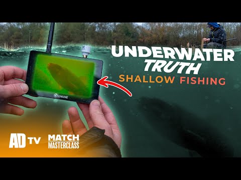 UNDERWATER Truth - What's The BEST Shallow Fishing Rig - Match Masterclass