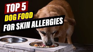 Best Dog Food for Skin Allergies: Relieve Itch & Improve Coa