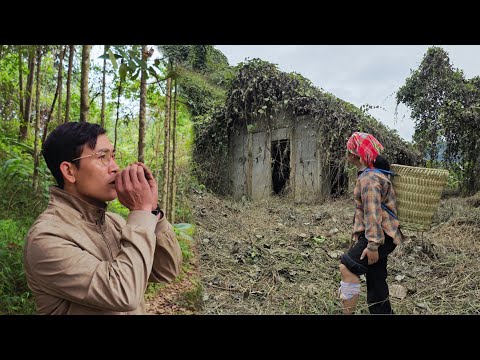 Poor girl discovers abandoned house when she's in trouble in the forest - CEO Lee is very worried.