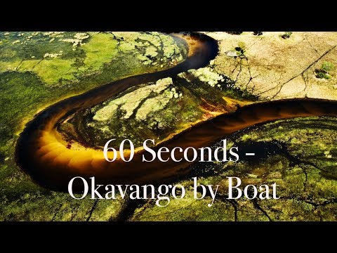 60 Seconds of the Okavango Delta by Boat