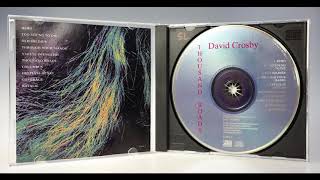 HERO * David Crosby and Phil Collins   1993  HQ