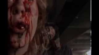Zombie Night (2003) Video