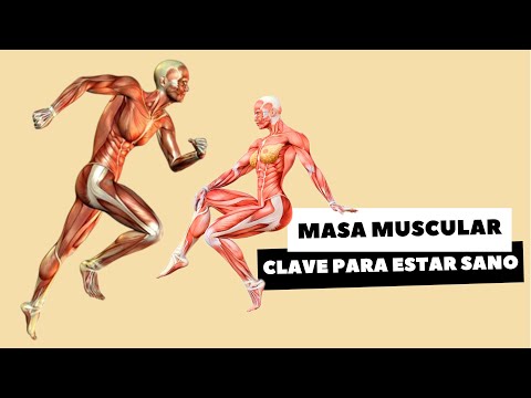 MASA MUSCULAR, CLAVE PARA ESTAR SANO