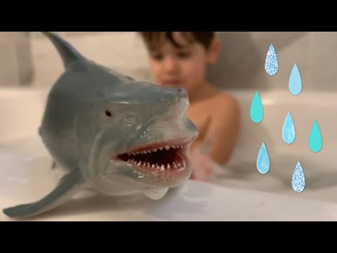 Tubarões e muita espuma na banheira! Banho divertido / Time to play