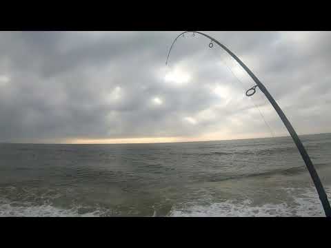 Fluke/Flounder fishing from shore. New P.B. at 24.5 in. Season 2 Ep. 6. NBR Ep.  20.