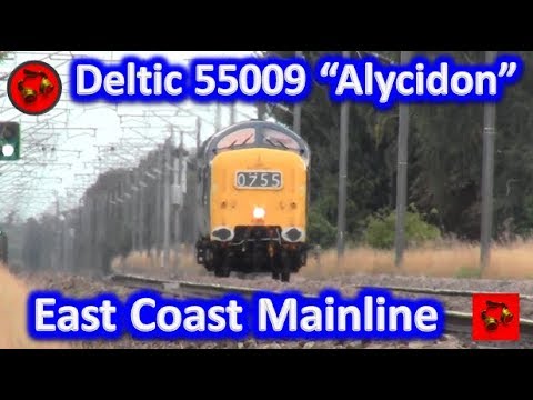 Deltic 55009 “Alycidon”