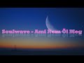 Soulwave Ami Nem Öl Meg Dalszöveg Soulwave Ami Nem Öl Meg Dalszöveg