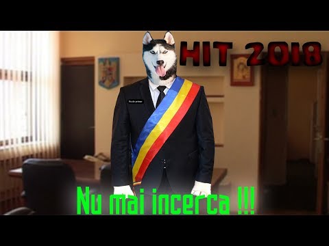 Petruţ Cătălin - "Nu mai încerca" HIT