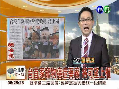 台首家寵物癌症藥廠 將可望上櫃